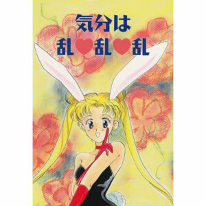 Sailor Moon: "Fan Book"  (18+)